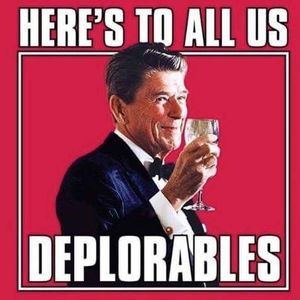 Meet your Posher, Lynne